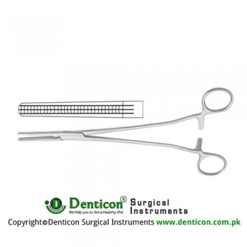 Heaney (Rogers) Hysterectomy Forcep Fig. 1 Stainless Steel, 21.5 cm - 8 1/2"